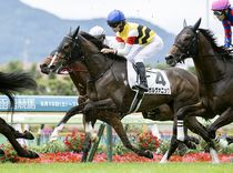 ����å��ǳ��������ɽ�����ޤ�