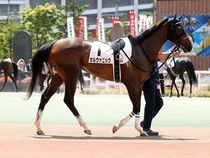 ����å��ǳ��������ɽ�����ޤ�