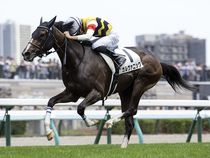 ����å��ǳ��������ɽ�����ޤ�