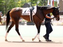 ����å��ǳ��������ɽ�����ޤ�