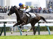 ����å��ǳ��������ɽ�����ޤ�