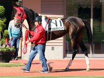 ����å��ǳ��������ɽ�����ޤ�