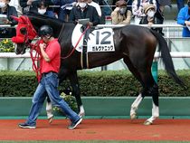 ����å��ǳ��������ɽ�����ޤ�