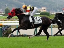 ����å��ǳ��������ɽ�����ޤ�