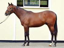 ����å��ǳ��������ɽ�����ޤ�