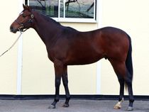 ����å��ǳ��������ɽ�����ޤ�