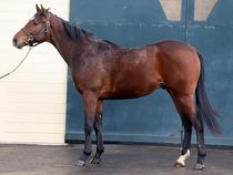 ����å��ǳ��������ɽ�����ޤ�