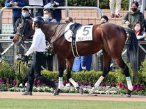 ����å��ǳ��������ɽ�����ޤ�