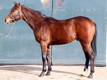 ����å��ǳ��������ɽ�����ޤ�