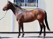 ����å��ǳ��������ɽ�����ޤ�