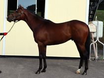 ����å��ǳ��������ɽ�����ޤ�