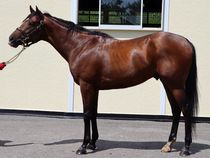 ����å��ǳ��������ɽ�����ޤ�