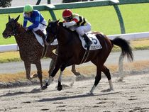 ����å��ǳ��������ɽ�����ޤ�