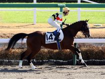 ����å��ǳ��������ɽ�����ޤ�