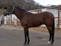 ����å��ǳ��������ɽ�����ޤ�