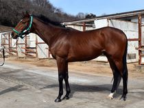 ����å��ǳ��������ɽ�����ޤ�