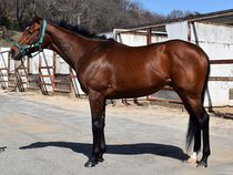 ����å��ǳ��������ɽ�����ޤ�