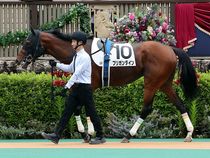 ����å��ǳ��������ɽ�����ޤ�