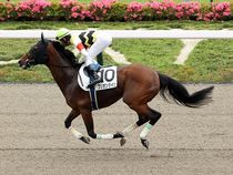 ����å��ǳ��������ɽ�����ޤ�