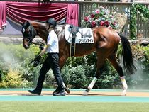 ����å��ǳ��������ɽ�����ޤ�