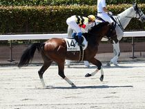 ����å��ǳ��������ɽ�����ޤ�