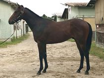 ����å��ǳ��������ɽ�����ޤ�