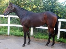 ����å��ǳ��������ɽ�����ޤ�