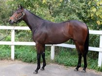 ����å��ǳ��������ɽ�����ޤ�