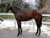 ����å��ǳ��������ɽ�����ޤ�