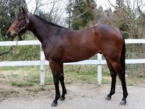 ����å��ǳ��������ɽ�����ޤ�