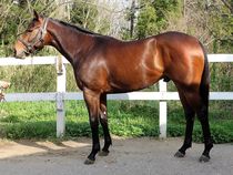 ����å��ǳ��������ɽ�����ޤ�