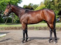 ����å��ǳ��������ɽ�����ޤ�