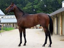 ����å��ǳ��������ɽ�����ޤ�