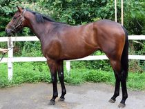 ����å��ǳ��������ɽ�����ޤ�