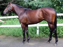 ����å��ǳ��������ɽ�����ޤ�