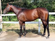 ����å��ǳ��������ɽ�����ޤ�