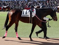 ����å��ǳ��������ɽ�����ޤ�