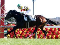 ����å��ǳ��������ɽ�����ޤ�