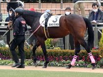 ����å��ǳ��������ɽ�����ޤ�