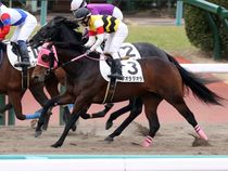 ����å��ǳ��������ɽ�����ޤ�