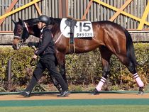 ����å��ǳ��������ɽ�����ޤ�