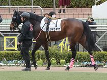 ����å��ǳ��������ɽ�����ޤ�