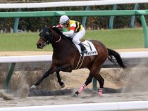 ����å��ǳ��������ɽ�����ޤ�