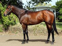 ����å��ǳ��������ɽ�����ޤ�