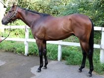 ����å��ǳ��������ɽ�����ޤ�