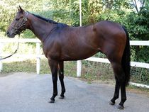 ����å��ǳ��������ɽ�����ޤ�