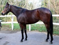 ����å��ǳ��������ɽ�����ޤ�