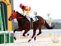 ����å��ǳ��������ɽ�����ޤ�