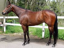 ����å��ǳ��������ɽ�����ޤ�