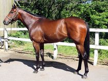 ����å��ǳ��������ɽ�����ޤ�